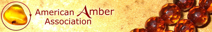 American Amber Association